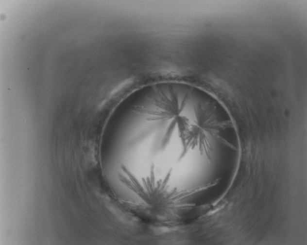 X0000062921205200601201953