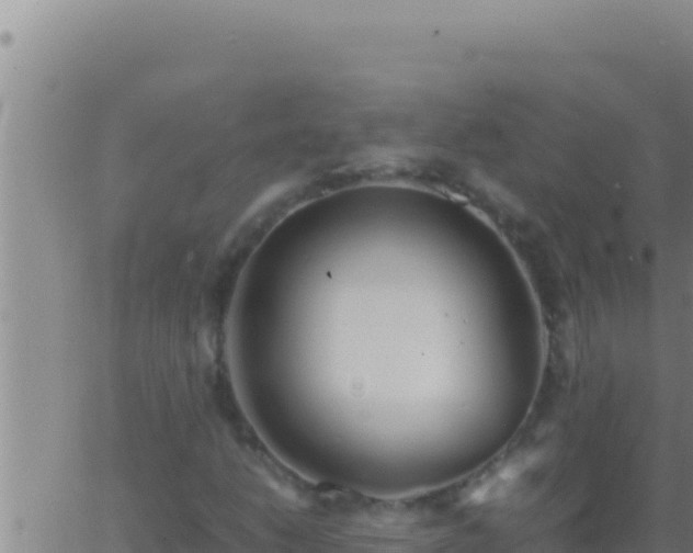 X0000062921206200601201953