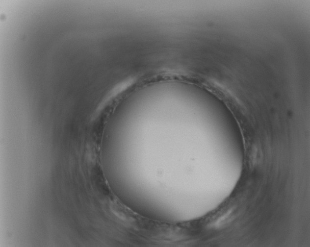 X0000062921207200601201953