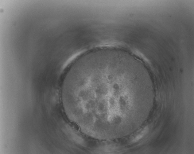 X0000062921208200601201953