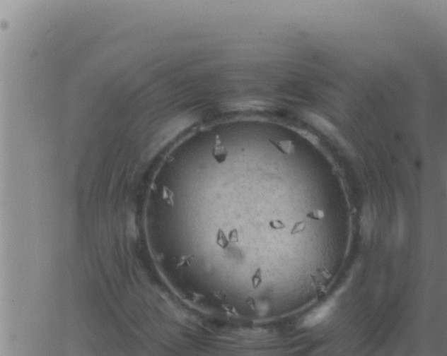 X0000062921209200601201953