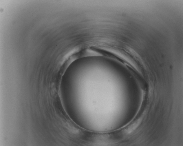 X0000062921210200601201953