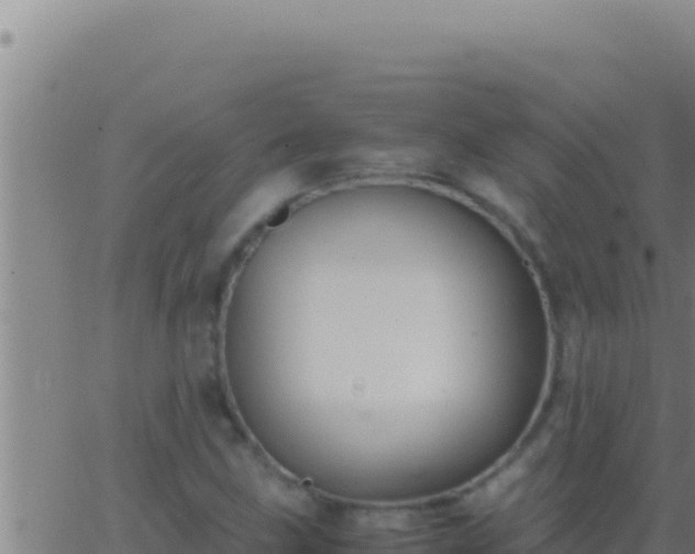 X0000062921211200601201953