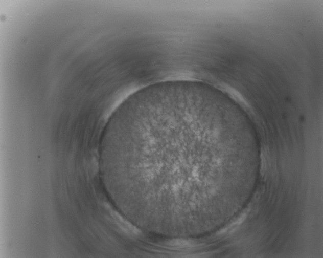 X0000062921212200601201953