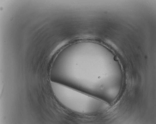 X0000062921213200601201953