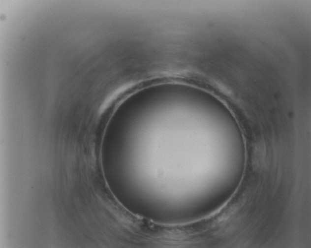 X0000062921214200601201953