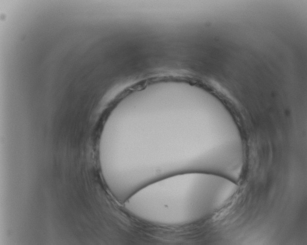 X0000062921215200601201953