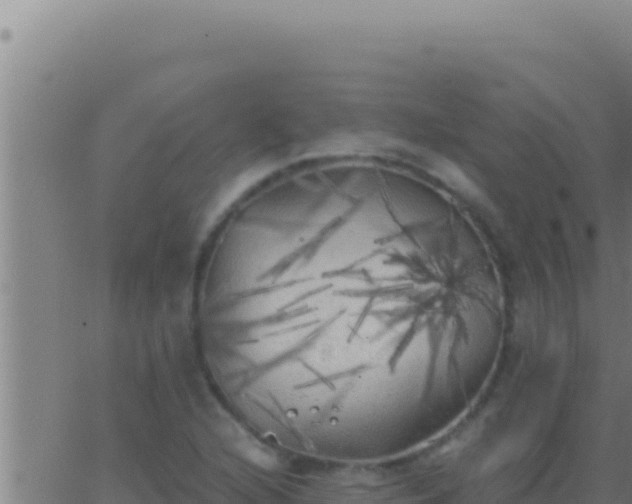 X0000062921216200601201953