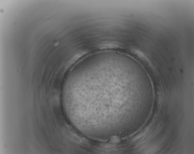 X0000062921217200601201953