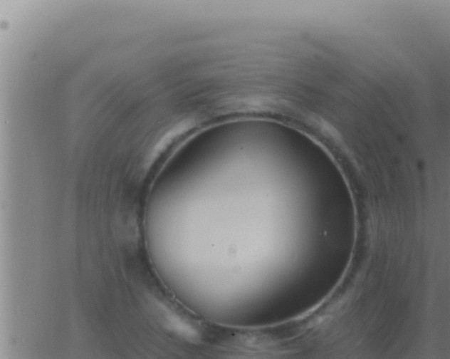 X0000062921218200601201953