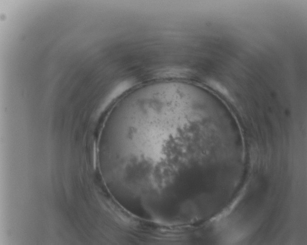 X0000062921219200601201953