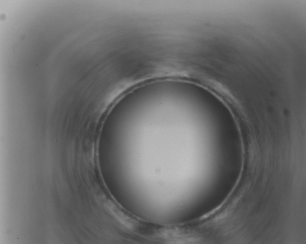 X0000062921220200601201953