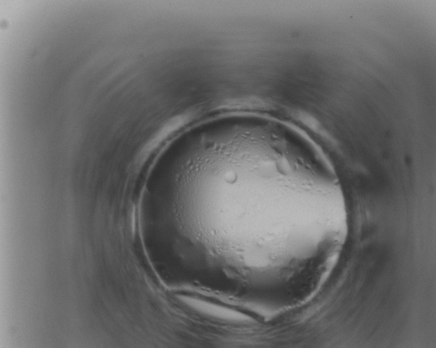 X0000062921221200601201953