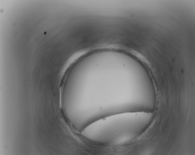 X0000062921223200601201953