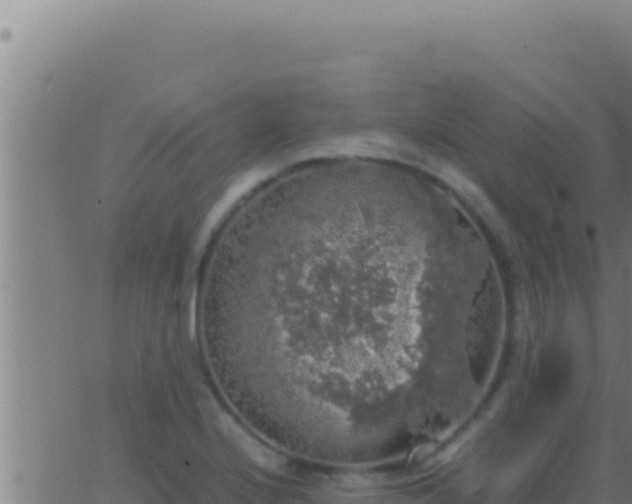 X0000062921224200601201953