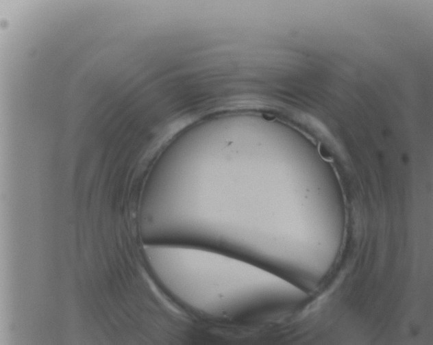 X0000062921225200601201953