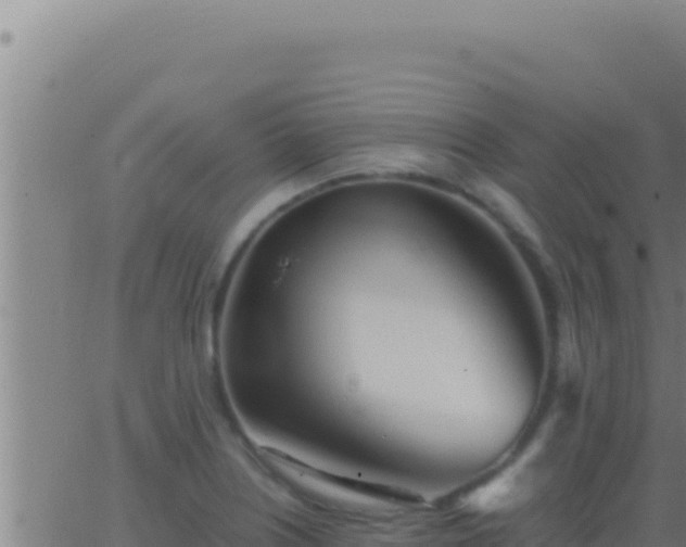 X0000062921226200601201953