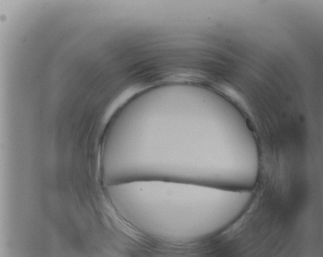 X0000062921227200601201953