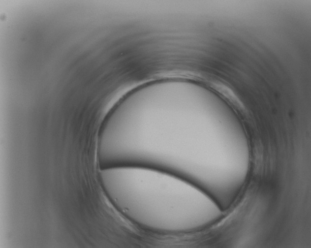 X0000062921228200601201953