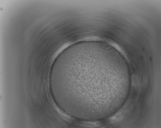 X0000062921229200601201953