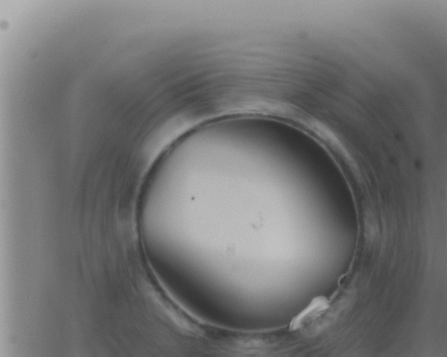 X0000062921230200601201953