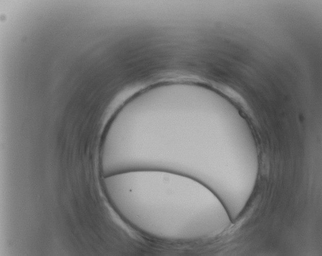 X0000062921231200601201953