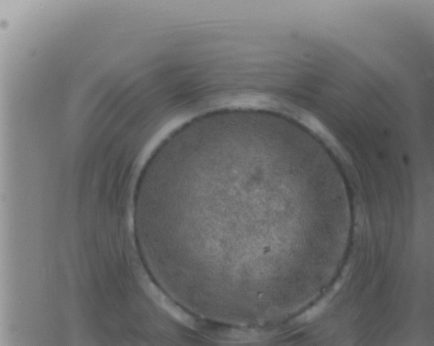 X0000062921232200601201953