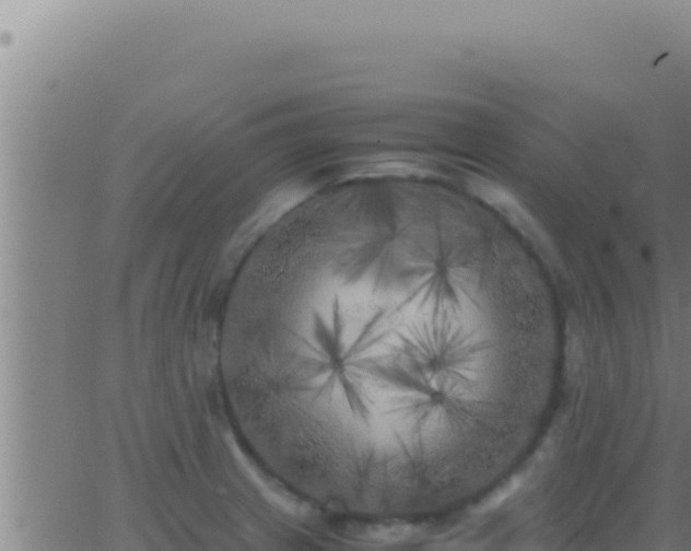 X0000062921233200601201953