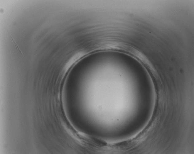 X0000062921234200601201953