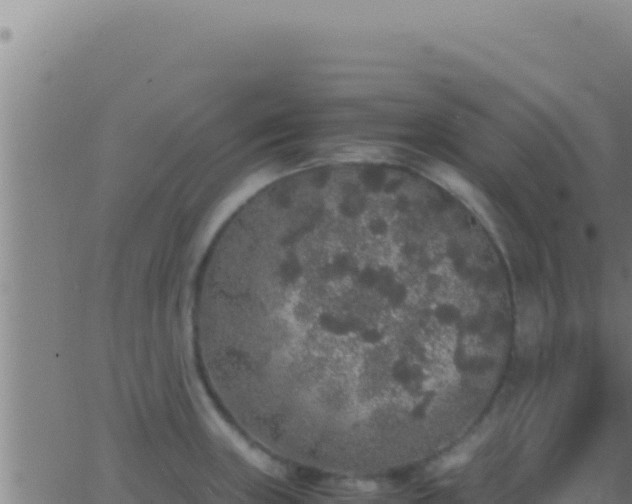 X0000062921235200601201953