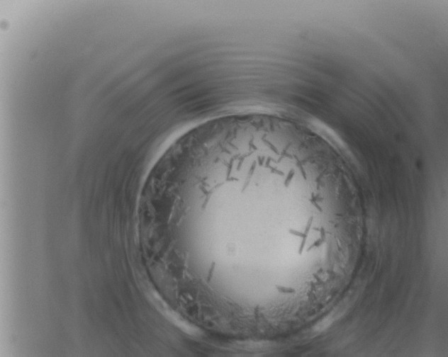 X0000062921236200601201953