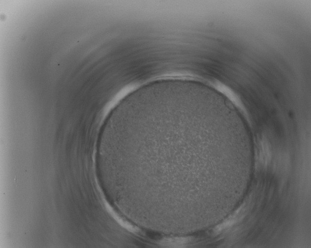 X0000062921237200601201953