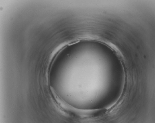 X0000062921238200601201953