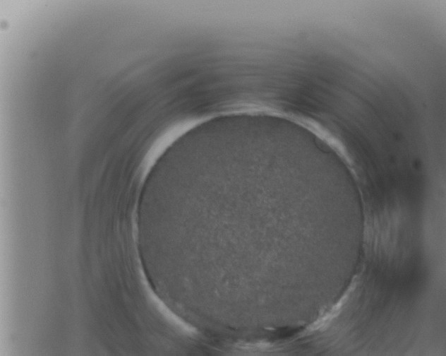 X0000062921239200601201953