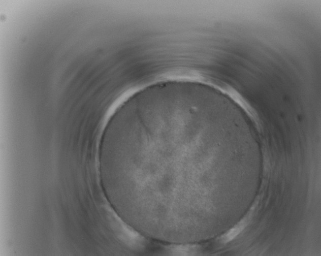 X0000062921240200601201953