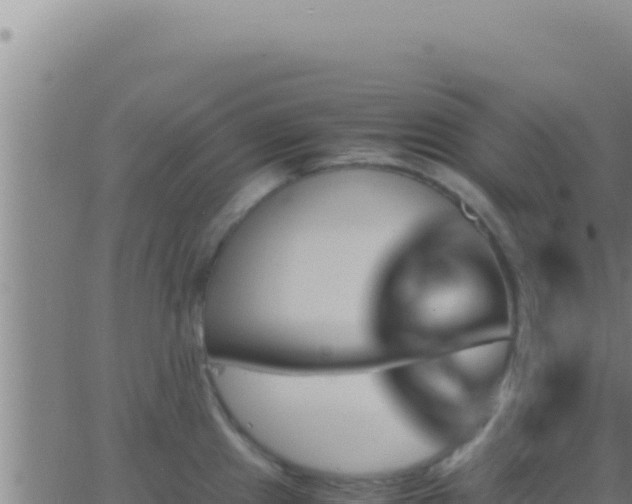 X0000062921241200601201953