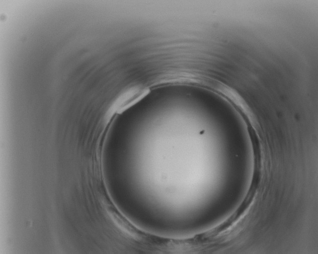 X0000062921242200601201953