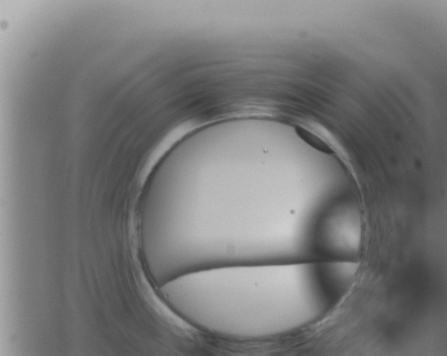 X0000062921243200601201953