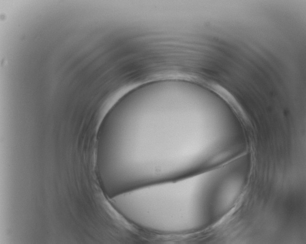 X0000062921244200601201953