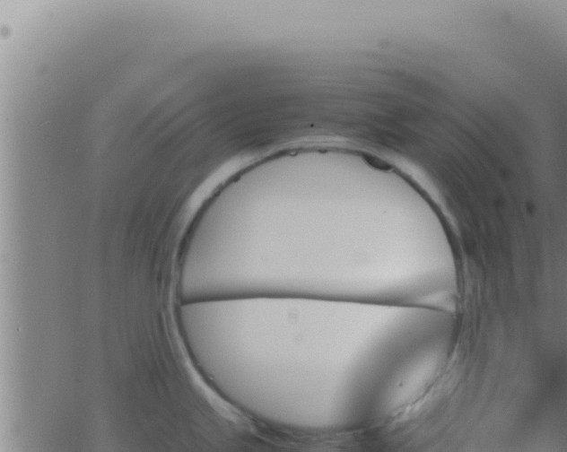 X0000062921245200601201953