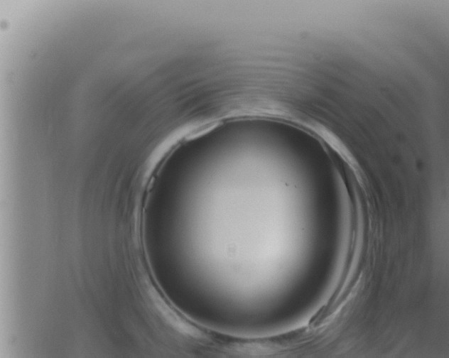 X0000062921246200601201953