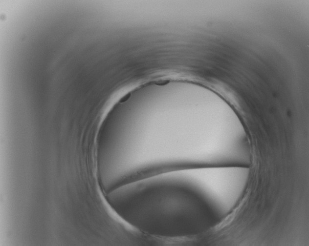 X0000062921247200601201953