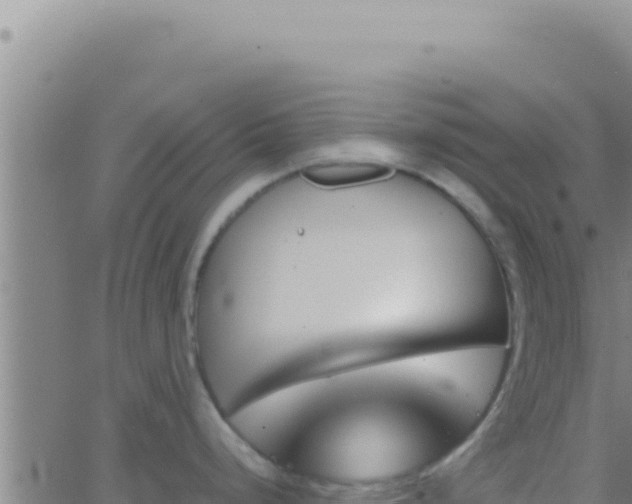 X0000062921248200601201954