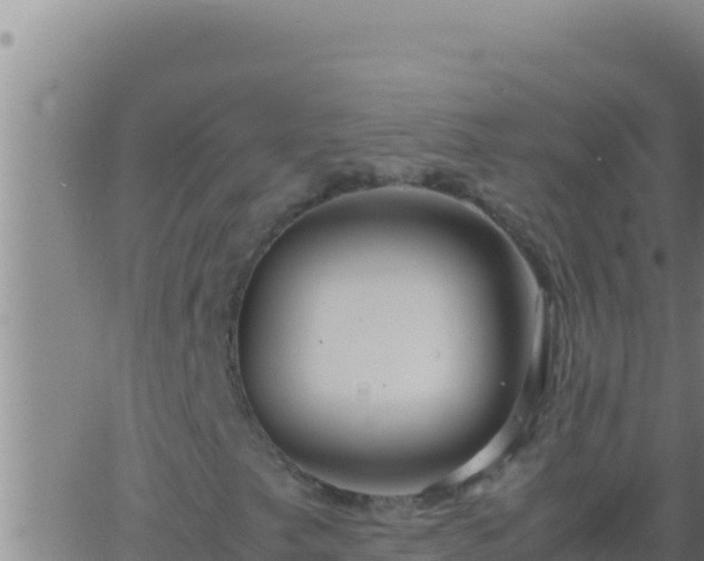 X0000062921249200601201953