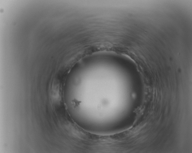 X0000062921250200601201953