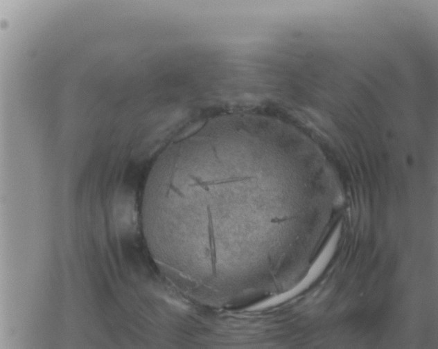 X0000062921252200601201953