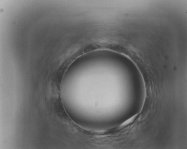 X0000062921253200601201953