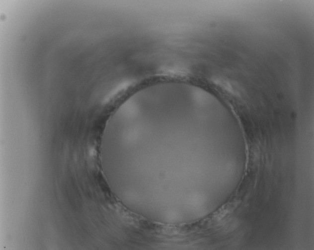 X0000062921254200601201953