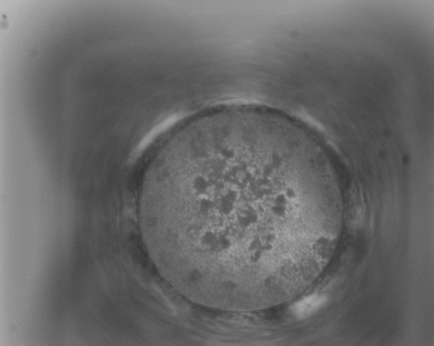 X0000062921255200601201953