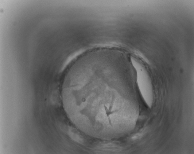 X0000062921256200601201953